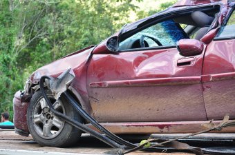 BMW-News-Blog: Wie verhältst du dich bei einem Wildunfall? - BMW-Syndikat