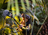 BMW-News-Blog: BMW HypersonX: Der Sound der Zukunft - Emotional, präzise und menschlich BMW-News-Blog: BMW HypersonX: Der Sound der Zukunft - Emotional, präzise und menschlich