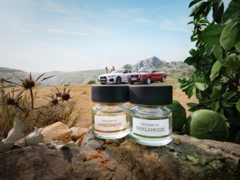 BMW-News-Blog: BMW Dfte Amberness & Bergamood: Freude fr di - BMW-Syndikat