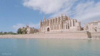 BMW-News-Blog: DJI Osmo Pocket 4 f�r Auto-Content: Die beste Mini - BMW-Syndikat